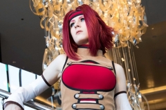 6p5a8747_35960847734_o